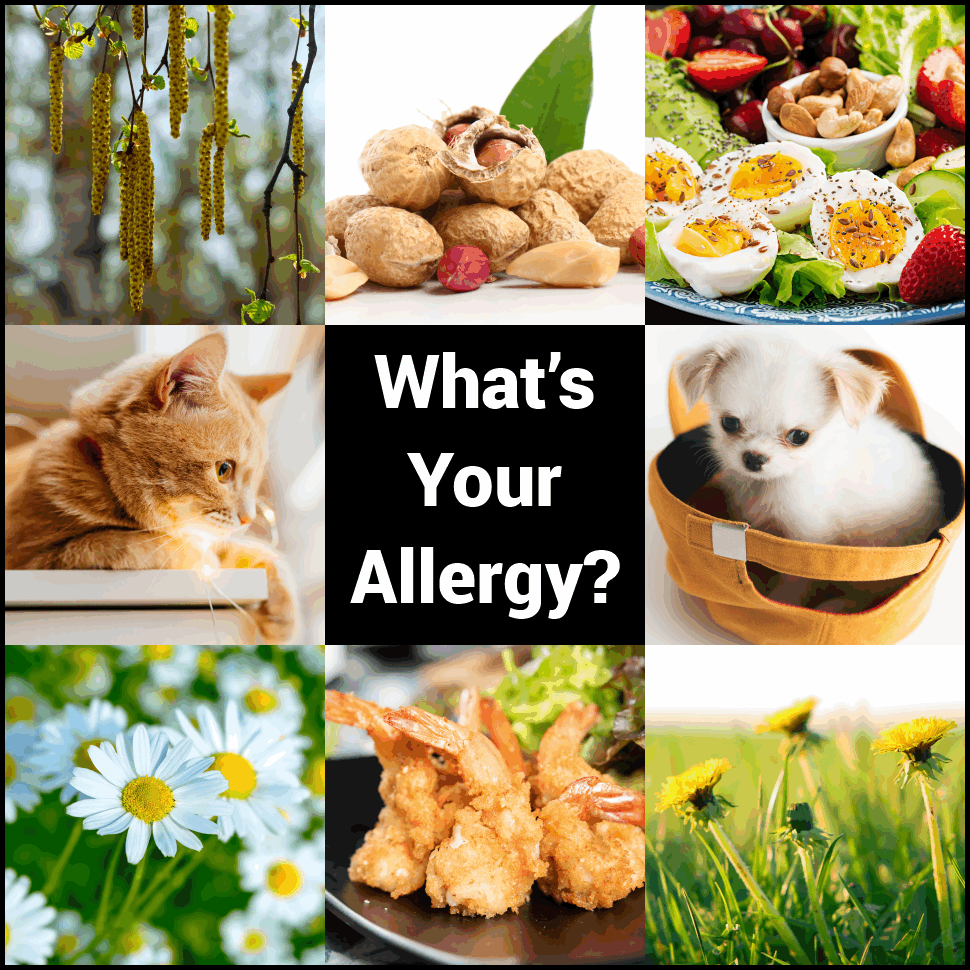 Corny phrase of the day: Allergies are nothing to sneeze at. Not-so-corny phrase of the day: We pay $185 to people with allergies to donate plasma. Screening appointments available today. #everettwa #seattlewa #pnw #snohomish #nwwa #earn185