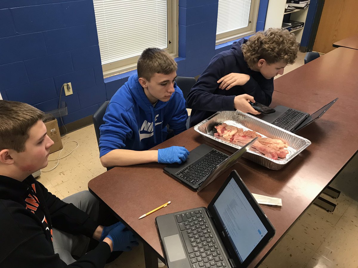 wb_ffa's tweet photo. Livestock students dissected and identified all the parts of the female reproductive system in class today! Thank you Manning Packing Co. for our annual supply of reproductive organs https://t.co/RW1O3klqEg
