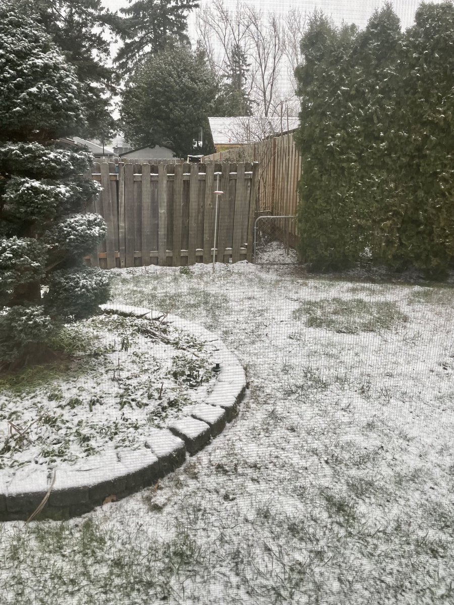 RegulatorSquad's tweet photo. Well, having some late for us snows. https://t.co/CvTtMYVZ6I