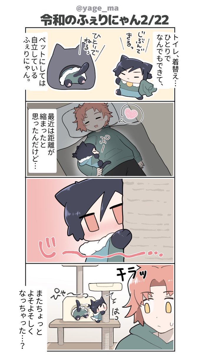 #令和のふぇりにゃん (2/22-2/24)
飼い主を意識するようになってしまったふぇりにゃん。 