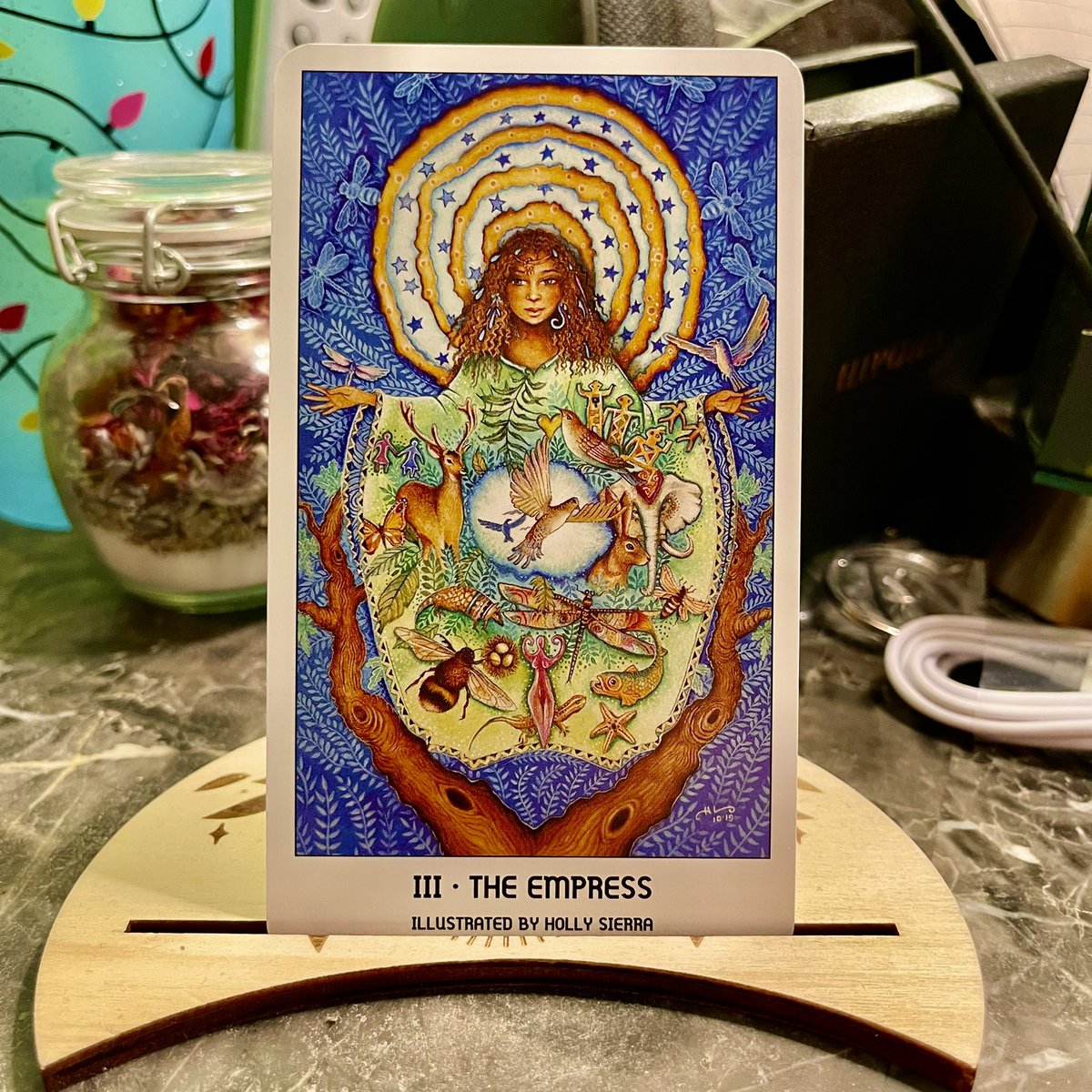 winterseverus's tweet photo. #Tarot of the Day: The Empress - Find deep joy in physical creation and birth new projects or ideas. (Tarot Deck: #Pride Tarot) #pridetarot #tarotreading  #divination #witchcraft #witchesoftwitter https://t.co/gKRIRgoXm2
