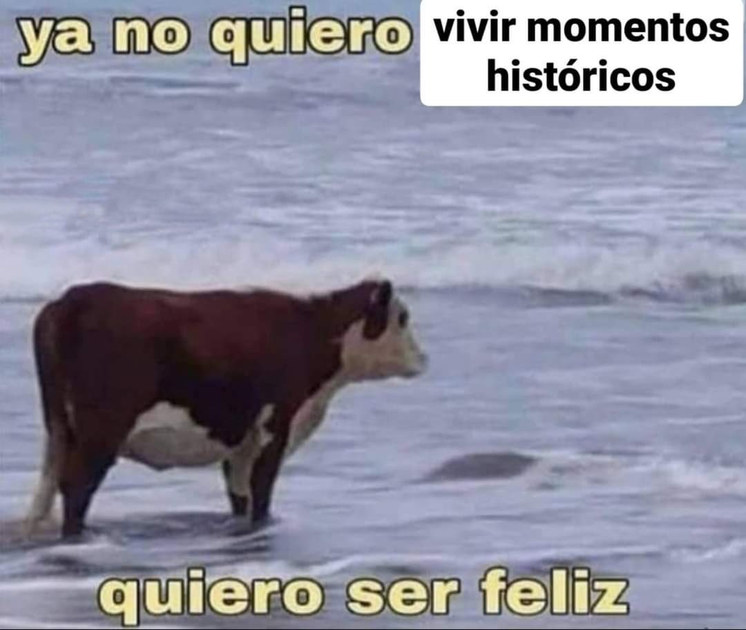 MemesCSociales's tweet photo. Los jóvenes de toda Latinoamerica después de ver en tendencias Chernobyl, Ucrania, OTAN, Rusia, Tercera Guerra, Estados Unidos Mundial, Putin, China, Taiwán, Corea del Norte, Tercera Guerra Mundial https://t.co/S94PrWsdJQ