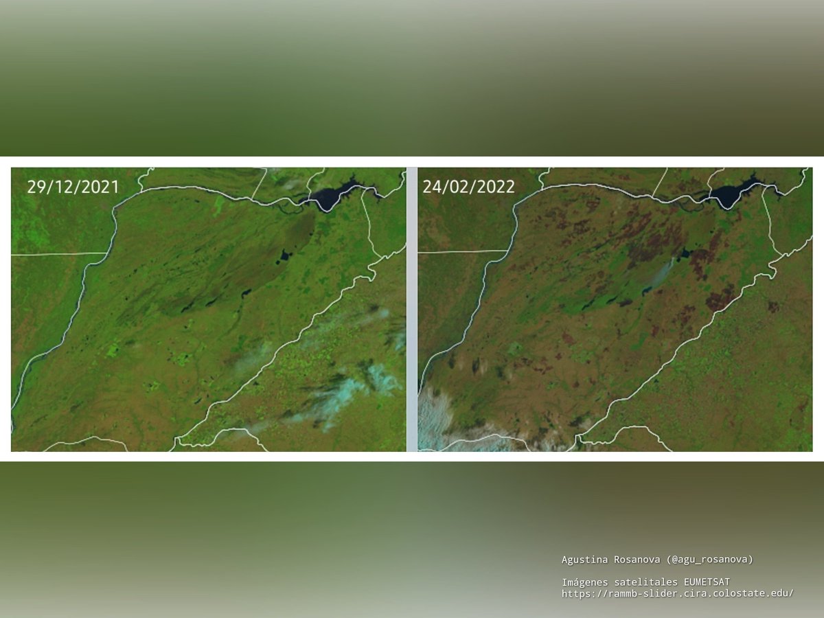 Guerras allá, guerras acá.

Corrientes en dos meses arrasada.

¿Dónde están los responsables?