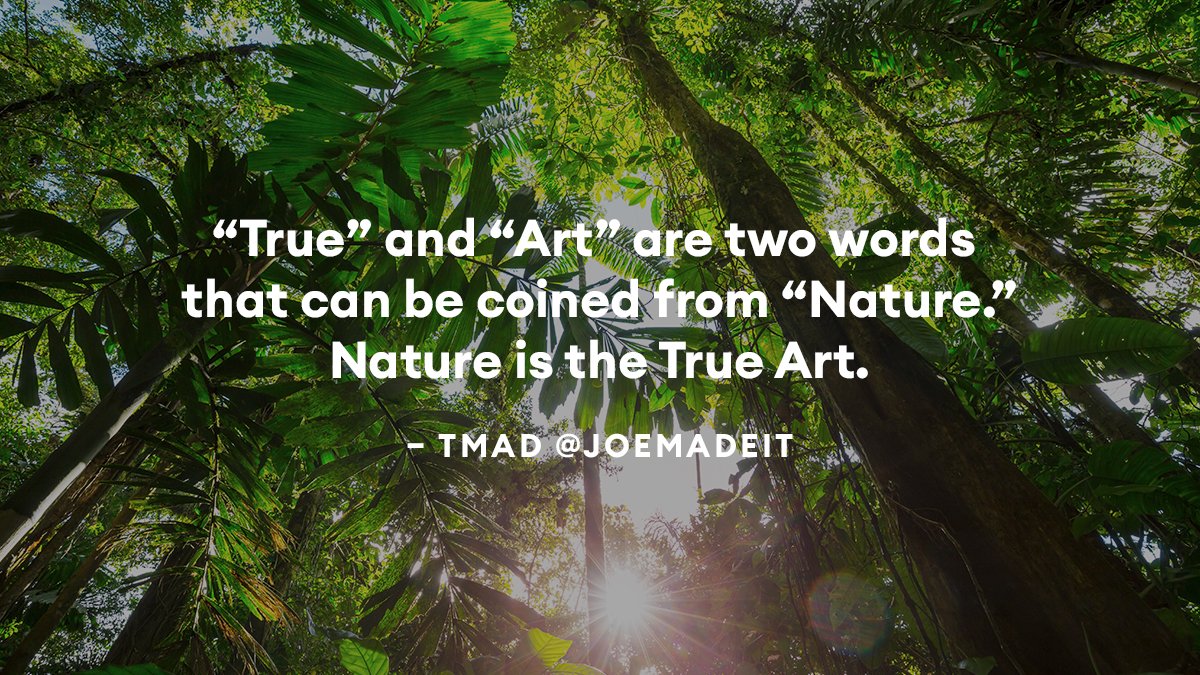 nemus_earth's tweet photo. Our Discord members out here sharing wisdom everyday. Thanks @joemadeit for this sweet quote. 🙌👏🌳🌲 

Join the Nemus adventure 👇
https://t.co/R1WZ0uIufW! https://t.co/4MyAtdRF65
