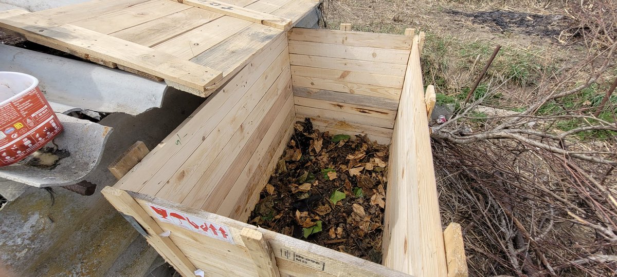 thewildprepper's tweet image. Día de buscar #lombrices para la #compostera.

Ya tenéis el video de como la he preparado en el canal de YouTube.