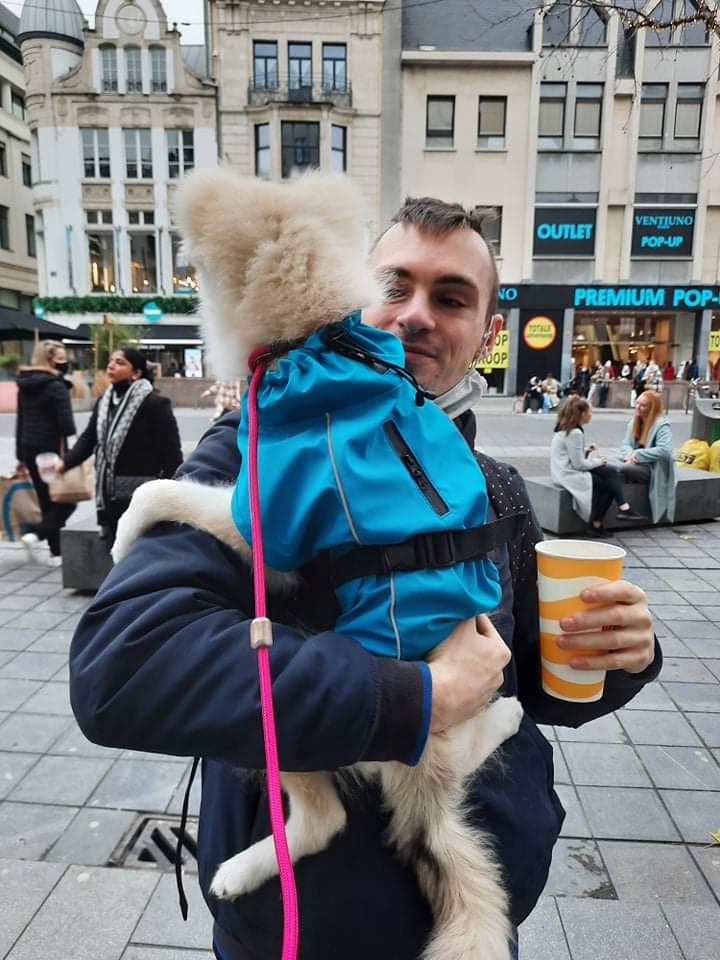 MyloThepomsky's tweet photo. @JohnRush32 Close enough ? 🌝❤🐶😅 https://t.co/jKsJZsgqUS