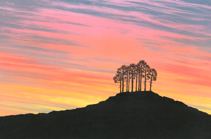 This monotype was the first of a bold change in the landscape to pure, velvety black for maximum drama! I took this idea from the night skies pictures I did and used the rainbow sky as a backdrop for my first attempt at a scots pine!  rebecca-vincent.co.uk/twitter-welcome