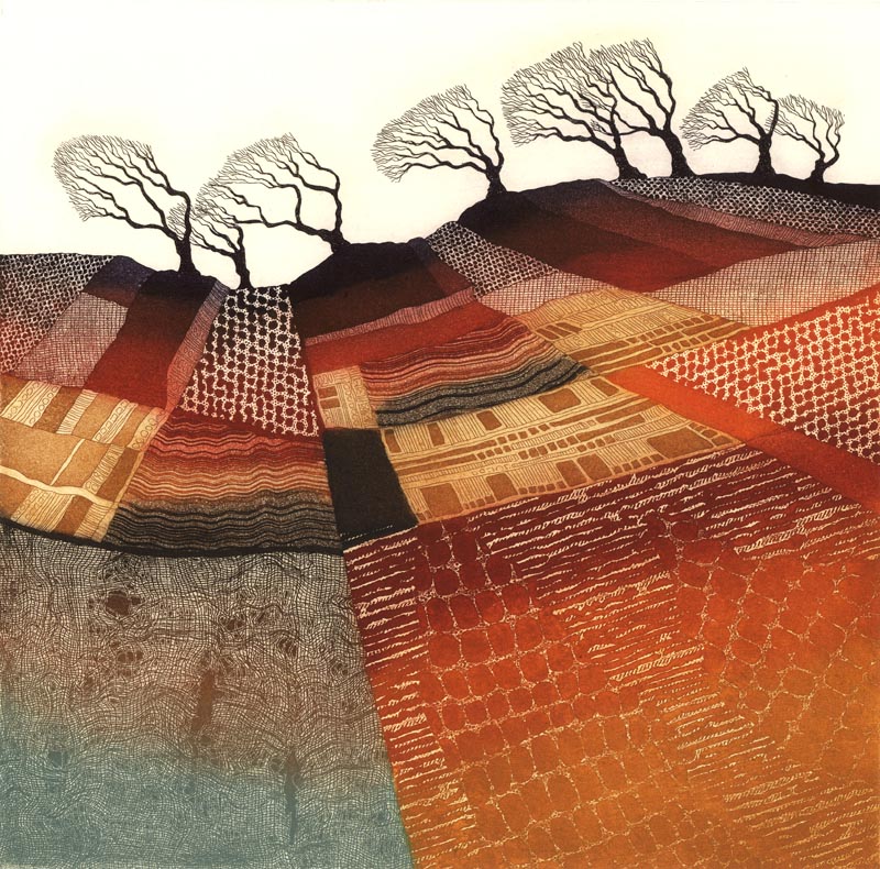 printreb's tweet photo. Windswept Trees etching. Are the patterns meant to represent something ? The idea began as a limestone pavement with cracks and grooves but as it developed I added more patterns and it became more abstract in nature like a patchwork quilt. #windy https://t.co/6Jmb29deIP https://t.co/UEUYGytS3Q