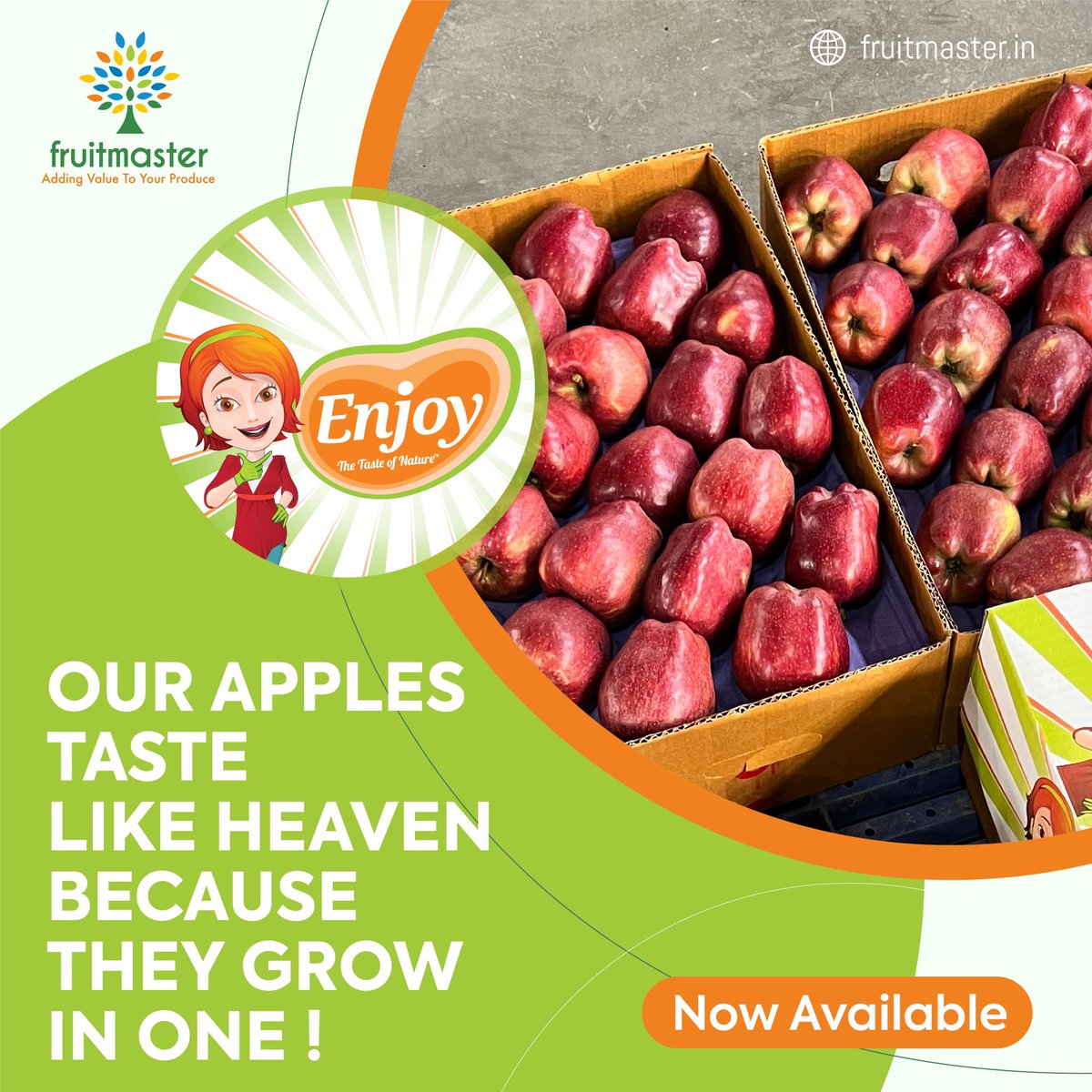 fruitmasteragro's tweet photo. Enjoy the taste of Heavenly Apples from Kashmir. Available Now https://t.co/d296rz2DgS