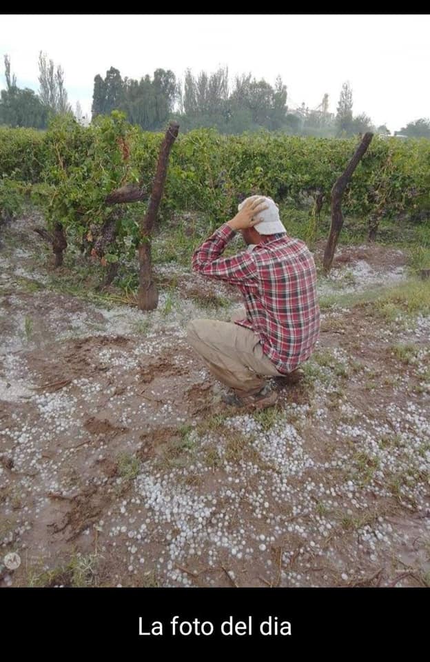 GuaymallenU's tweet photo. SOLICITUD DECLARACIÓN DE EMERGENCIA POR CONTINGENCIA CLIMÁTICA AL GOBIERNO MUNICIPAL DE GUAYMALLÉN. solicitamos declare la “Emergencia Económica y Social por Contigencia Climática”  como consecuencia de la fuerte tormenta de viento, lluvia y granizo ocurridas este miércoles 23/2 https://t.co/HQgt74uGSx