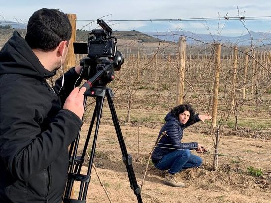 La buena poda siempre es importante, pero un poquito más, si cabe, durante la formación de las cepas... y no podíamos dejar de hacer vídeos para hablar de ellas... (coming soon)📽️▶️