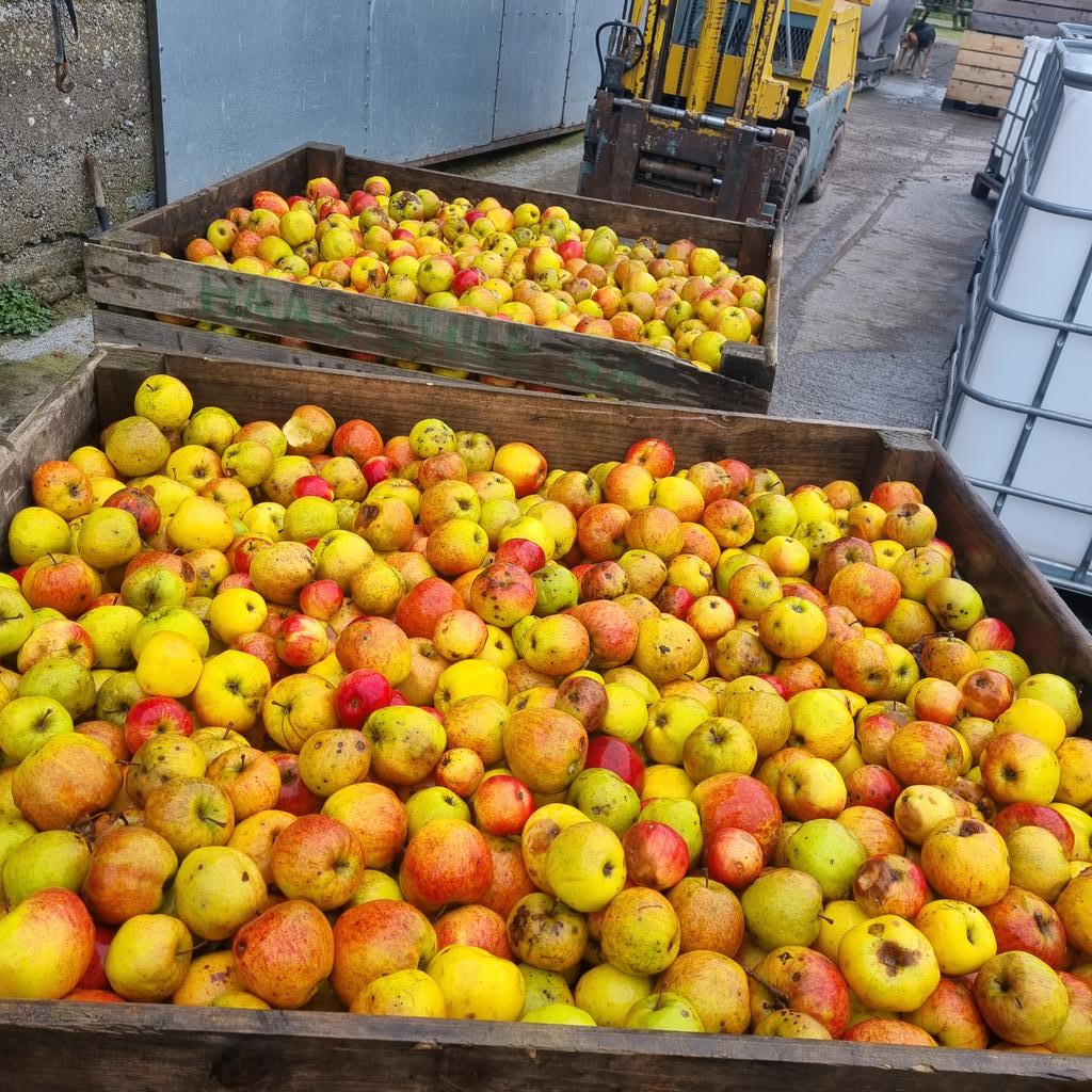There's always a few stragglers... last couple of ton #cider #realcider