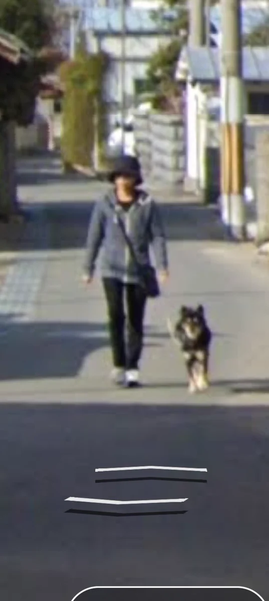 ストリートビューを見ていたら？看取った犬の生前の姿が残っていた！