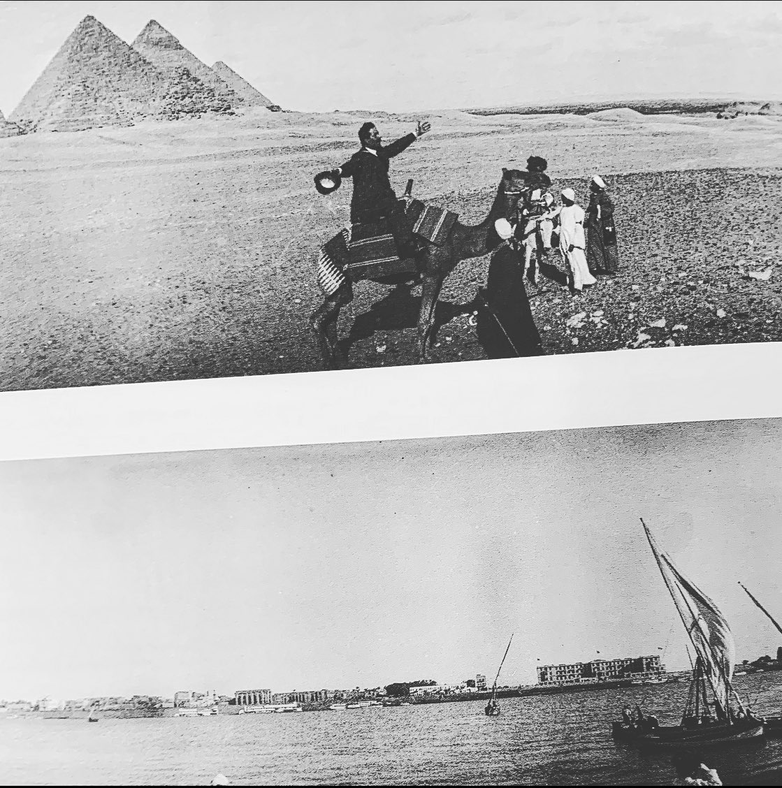 Alessandra Palidda tweet media