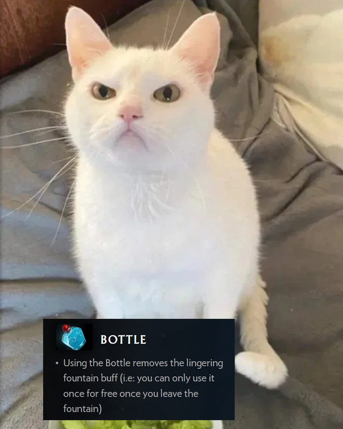 Keystroke Esports tweet media