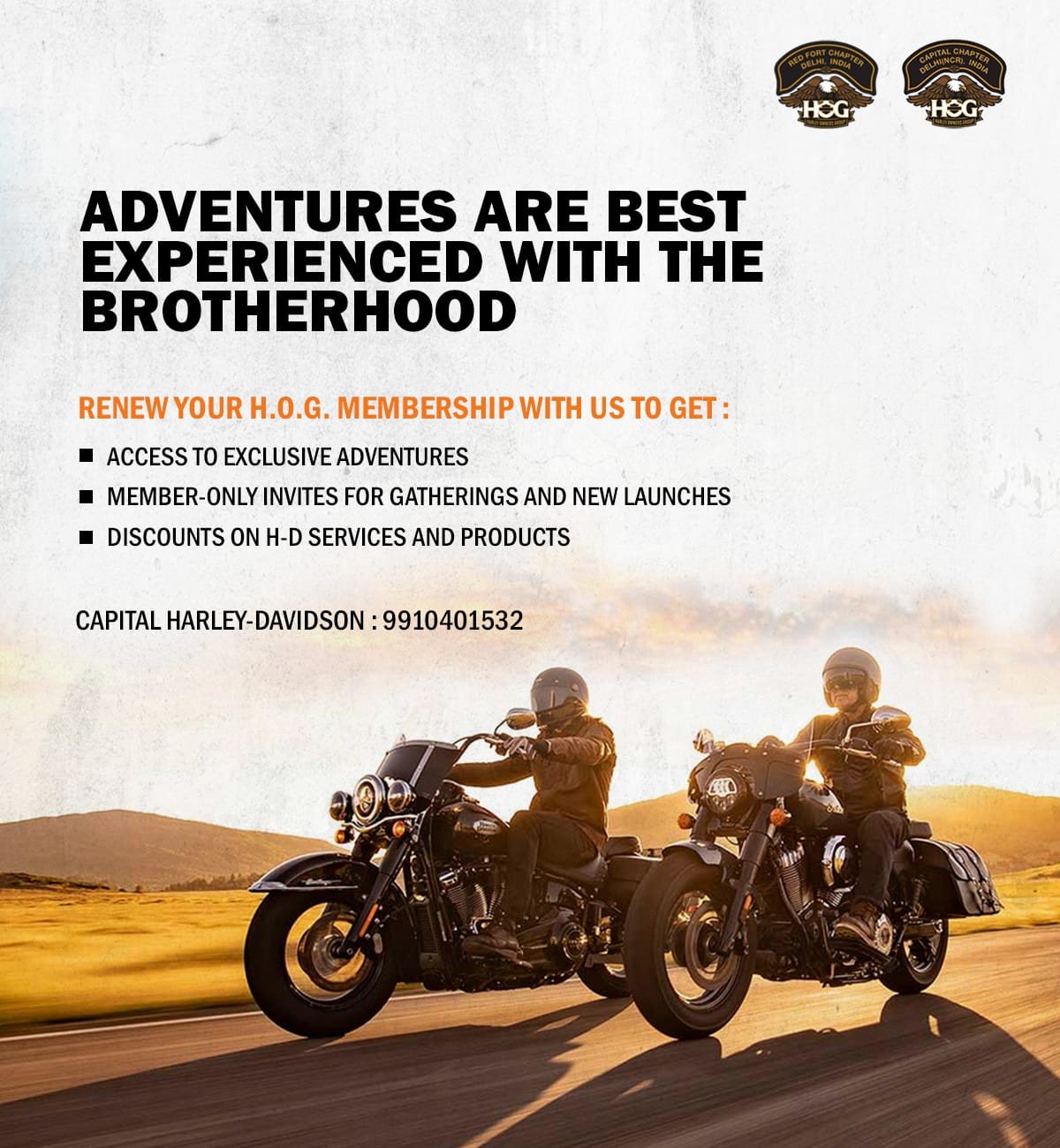 Hog membership outlet