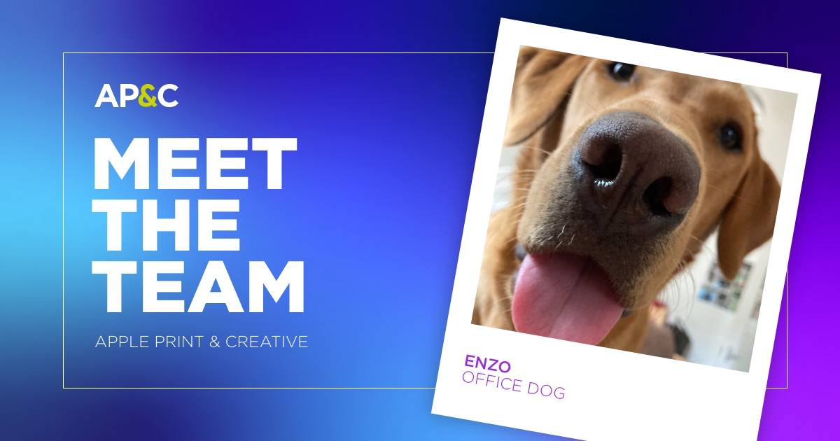 Meet the faces behind The Apple Print
Introducing Enzo the 1 year old, Red Fox Labrador with a love for cocktail sausages 🐶

#meettheteam  #facebehindthebusiness #officedog