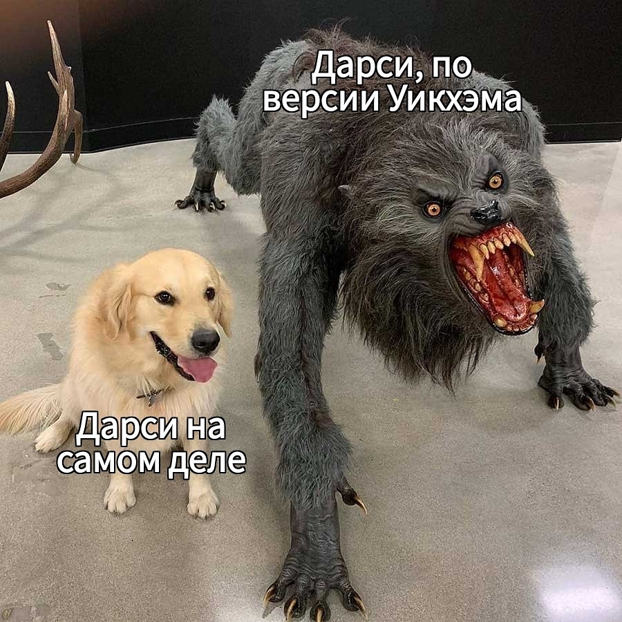 Литературные Мемы (@liter_memes) on Twitter photo 