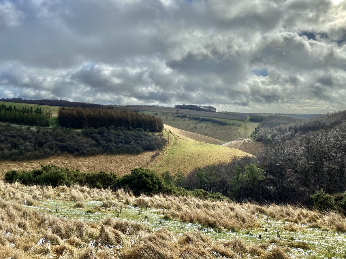 Snow Showers and Angry Skies. 2°C on top of the Wolds. Hares running