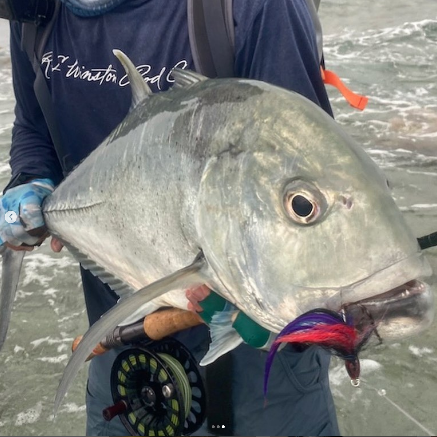 FarmsWhiting's tweet photo. Looks like a great time and a lot of fun
@bamboobroz
Fly &amp; Victim Mega Special: the GT Parrot vs. 2 angry GTs. Tying flies for reef fishing that last is crucial for success.

.
.
#flytyingaddict #gtparrot #gtflies #gtonthefly #geet https://t.co/wiqi8wZRKp