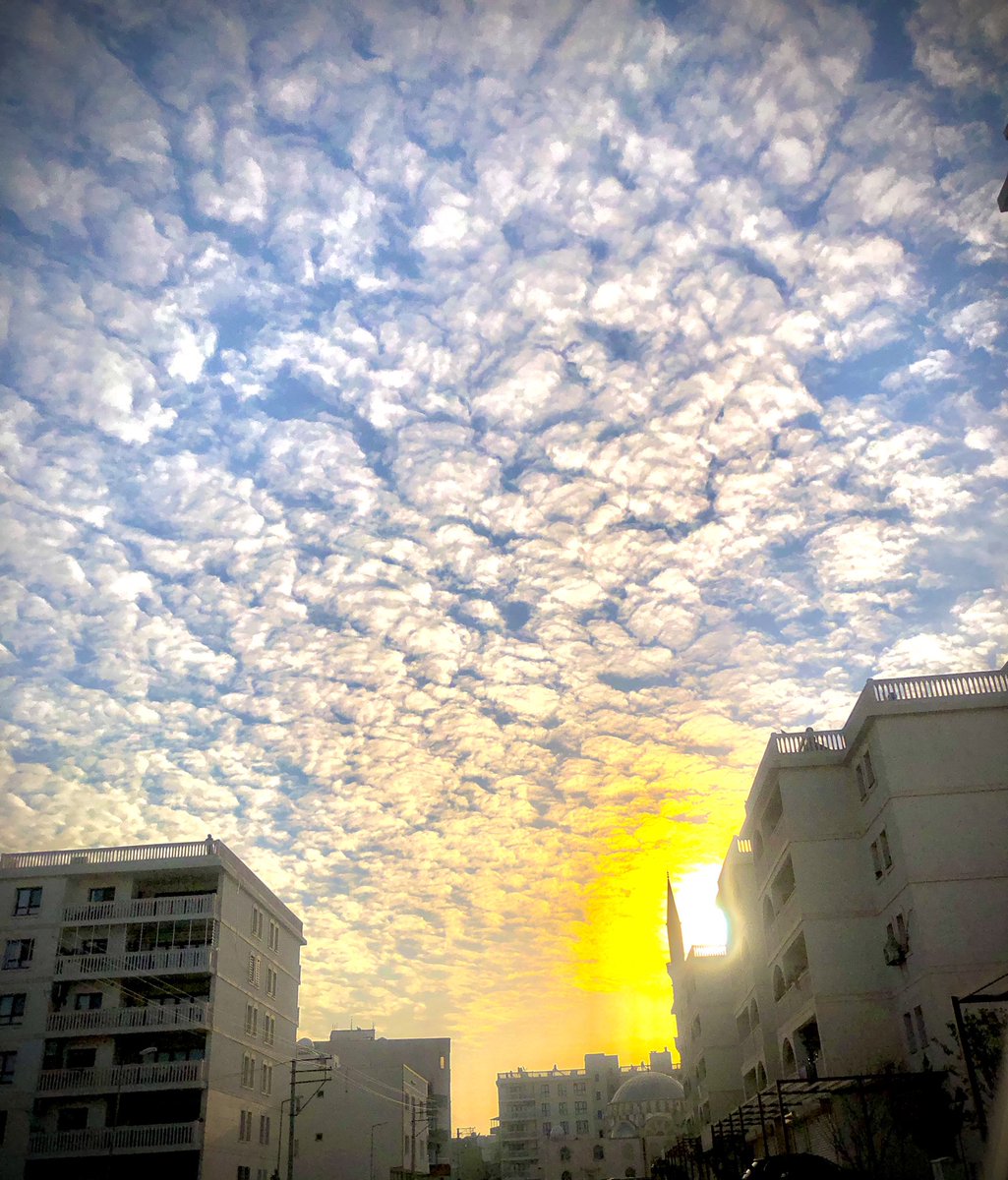 mir_celadet's tweet image. .