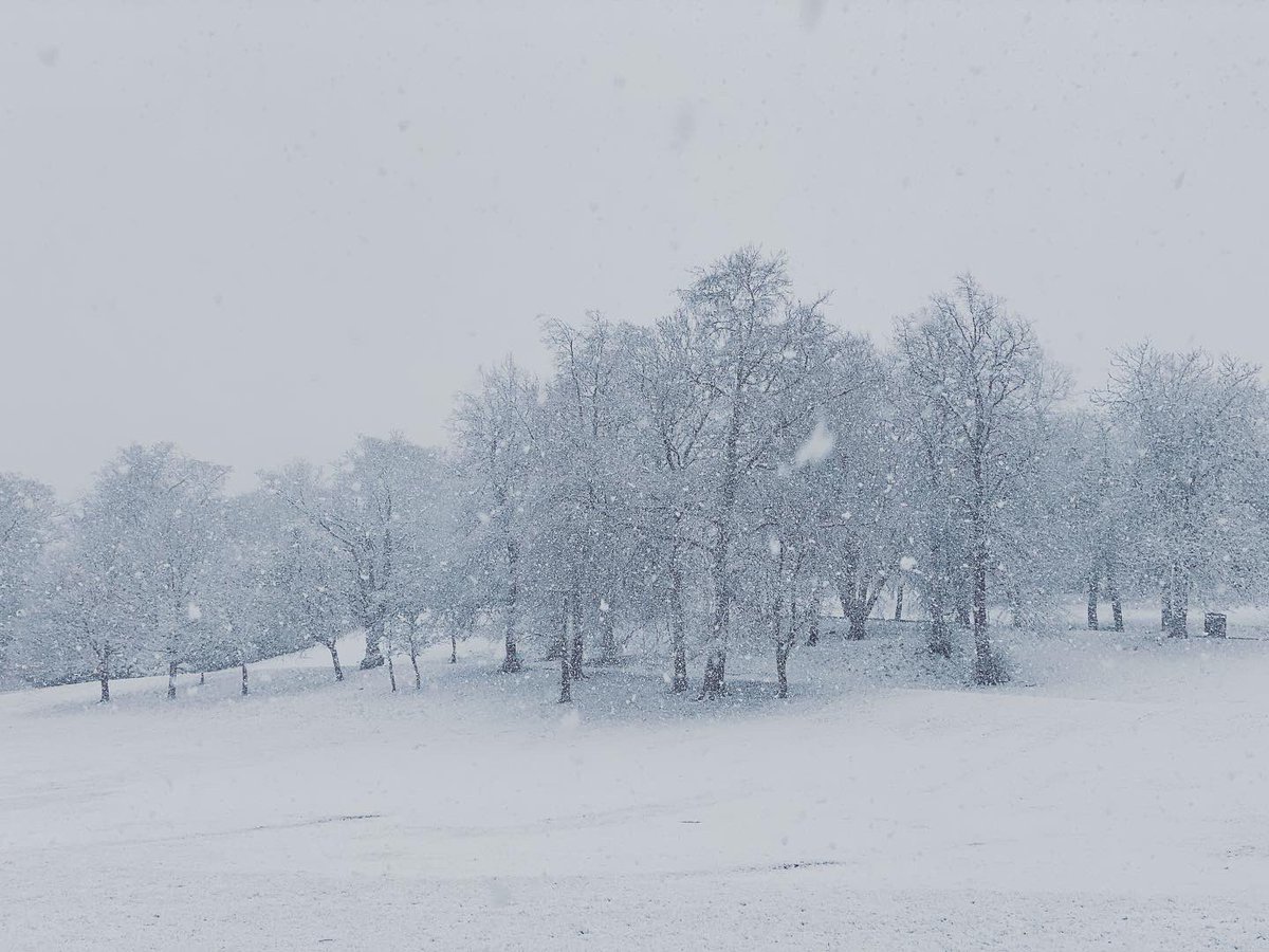 weevic18's tweet image. SNOW DAY! #heatingon #sofaday #queenspark #glasgow