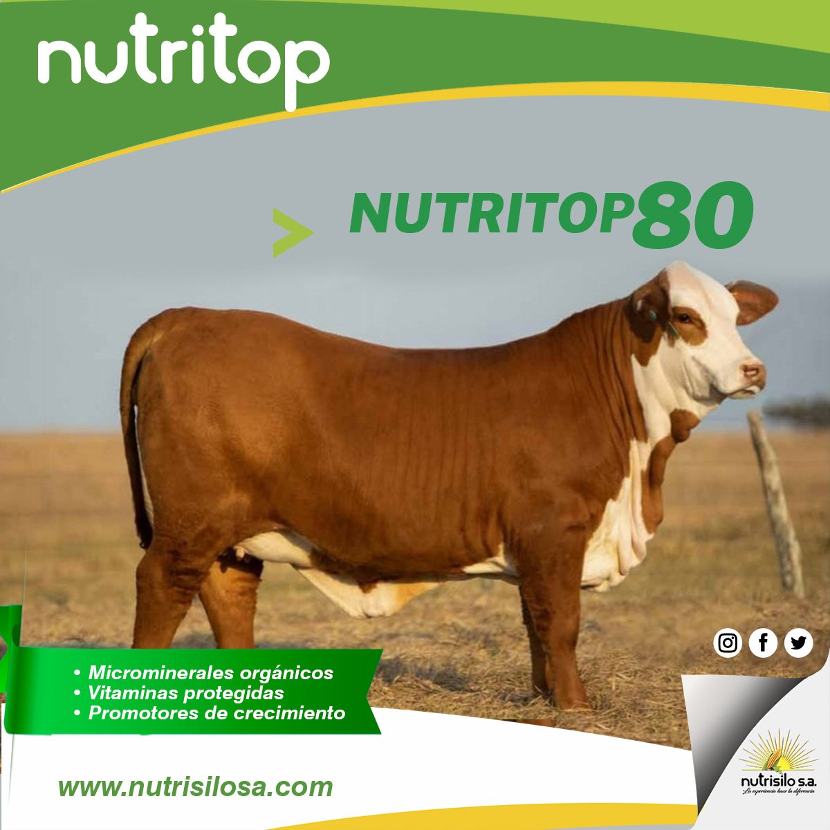 Nutrisilo_SA's tweet photo. suplemento vitaminico para el desarrollo de Reproductores Élite en ambientes con carencias minerales. Favorecen el desarrollo óseo, muscular y de órganos reproductivos en animales en etapa de crecimiento. https://t.co/pADPVaSOrX