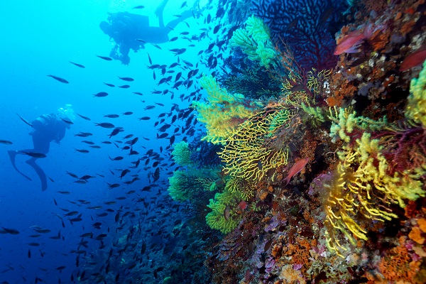 craibiologia's tweet photo. 🌊Un estudi científic recomana excloure i allunyar els parcs eòlics marins de zones protegides de la Mediterrània

👉Notícia: https://t.co/hf7r6dKS0l
👉Art. Ref. (Sci. Total Environ. Vol. 824, 10 June 2022: https://t.co/j5Qbxt94aW (open access)
@IRBioUB https://t.co/TE9vniRCK2