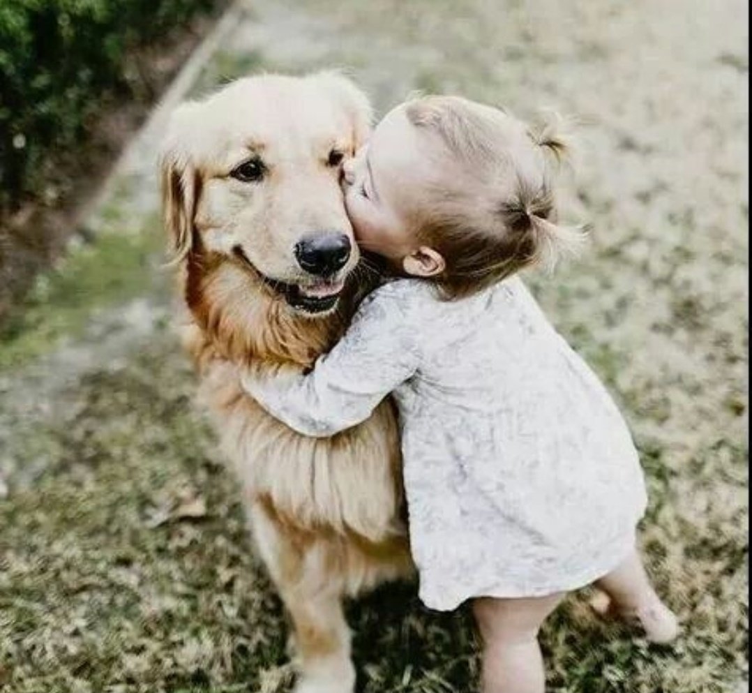 ♏️ℹ️E🅿️ ❤️🍀📚✒️ 🕊🌷🌸 tweet media