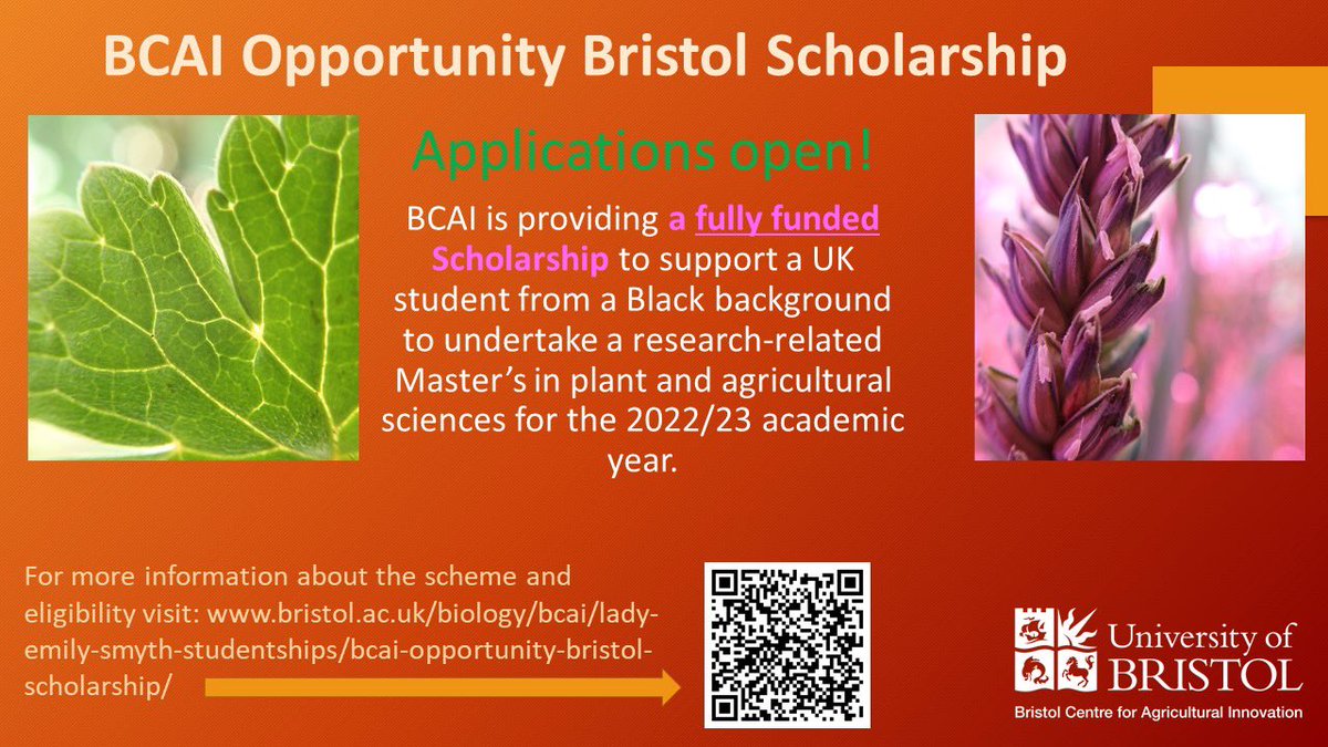 BMESuccess's tweet photo. The Bristol Centre for Agricultural Innovation (@BCAI_UoB) is providing a fully funded scholarship to support a UK student from a Black background to undertake a research-related Master's in plant and agricultural sciences. 🌿 https://t.co/EV2gR1fBHz