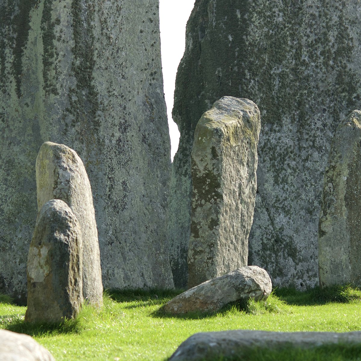 A photograph of Stonehenge, showing stones emerging from green grass.