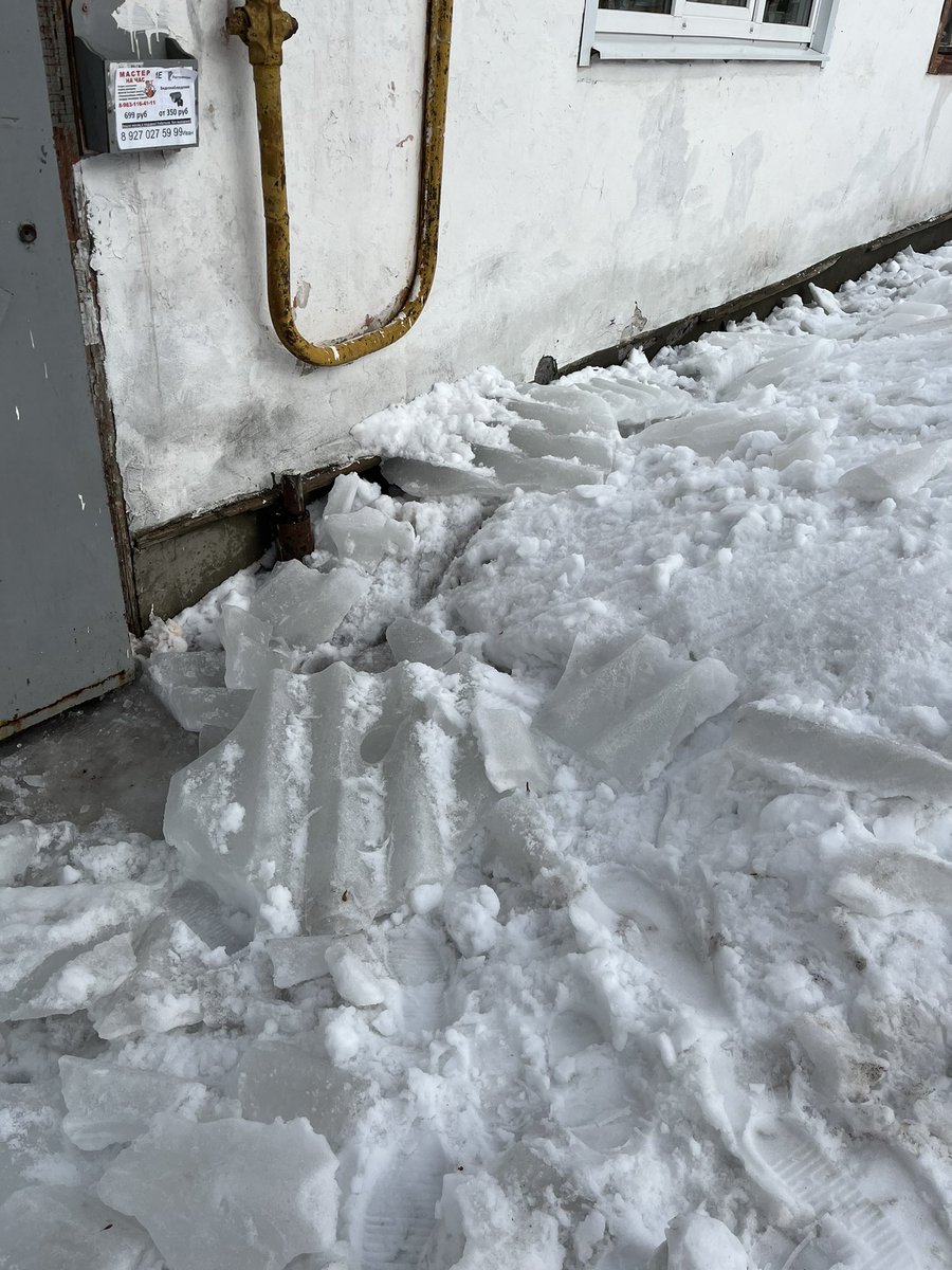 Katya Kitkina tweet media