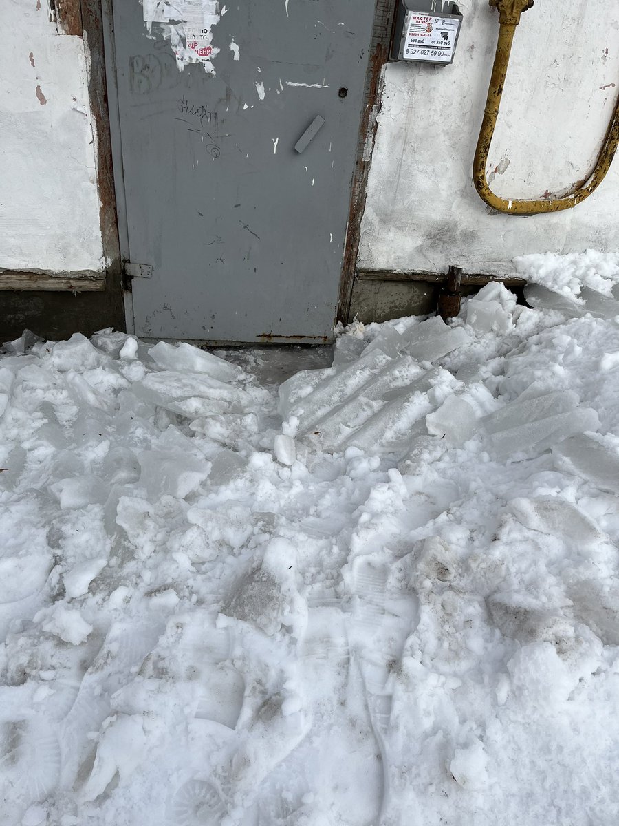 Katya Kitkina tweet media