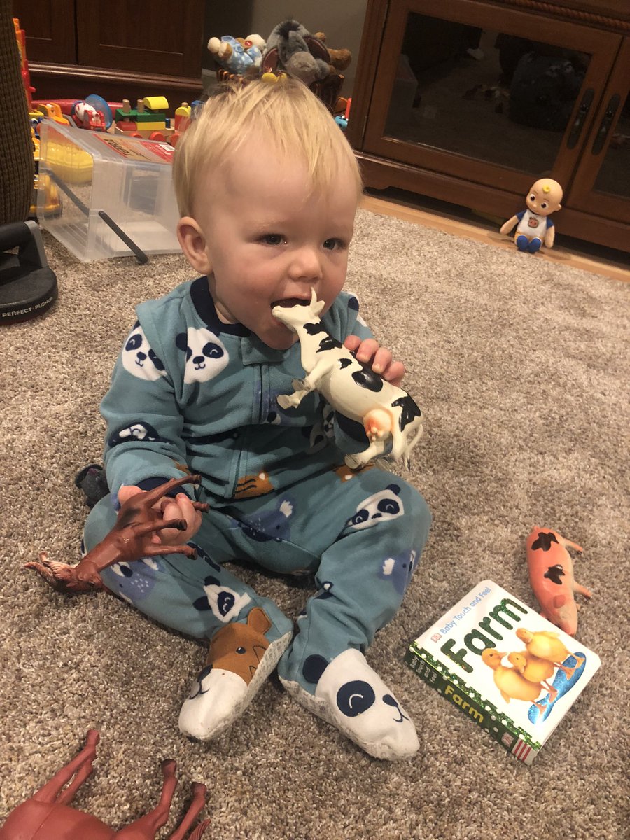 MLAPGOV's tweet photo. Archie celebrating #FFAWeek by playing with all of his farm friends this morning 🐷 🐄 🐴 🦃 🐔 https://t.co/KhuaNXlUP7