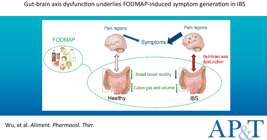 GutMicrobiota Health (@gmfhx) on Twitter photo FODMAPs produce similar small bowel water and colonic gas in patients with IBS and healthy controls, despite IBS patients reporting increased gut issues. <a href="/labgas_kuleuven/">Laboratory for Brain-Gut Axis Studies</a> & colleagues show why via <a href="/APandT/">roypounder.apt</a> ow.ly/9Npl30sbfsH FODMAPs produce similar small bowel water and colonic gas in patients with IBS and healthy controls, despite IBS patients reporting increased gut issues. <a href="/labgas_kuleuven/">Laboratory for Brain-Gut Axis Studies</a> & colleagues show why via <a href="/APandT/">roypounder.apt</a> ow.ly/9Npl30sbfsH