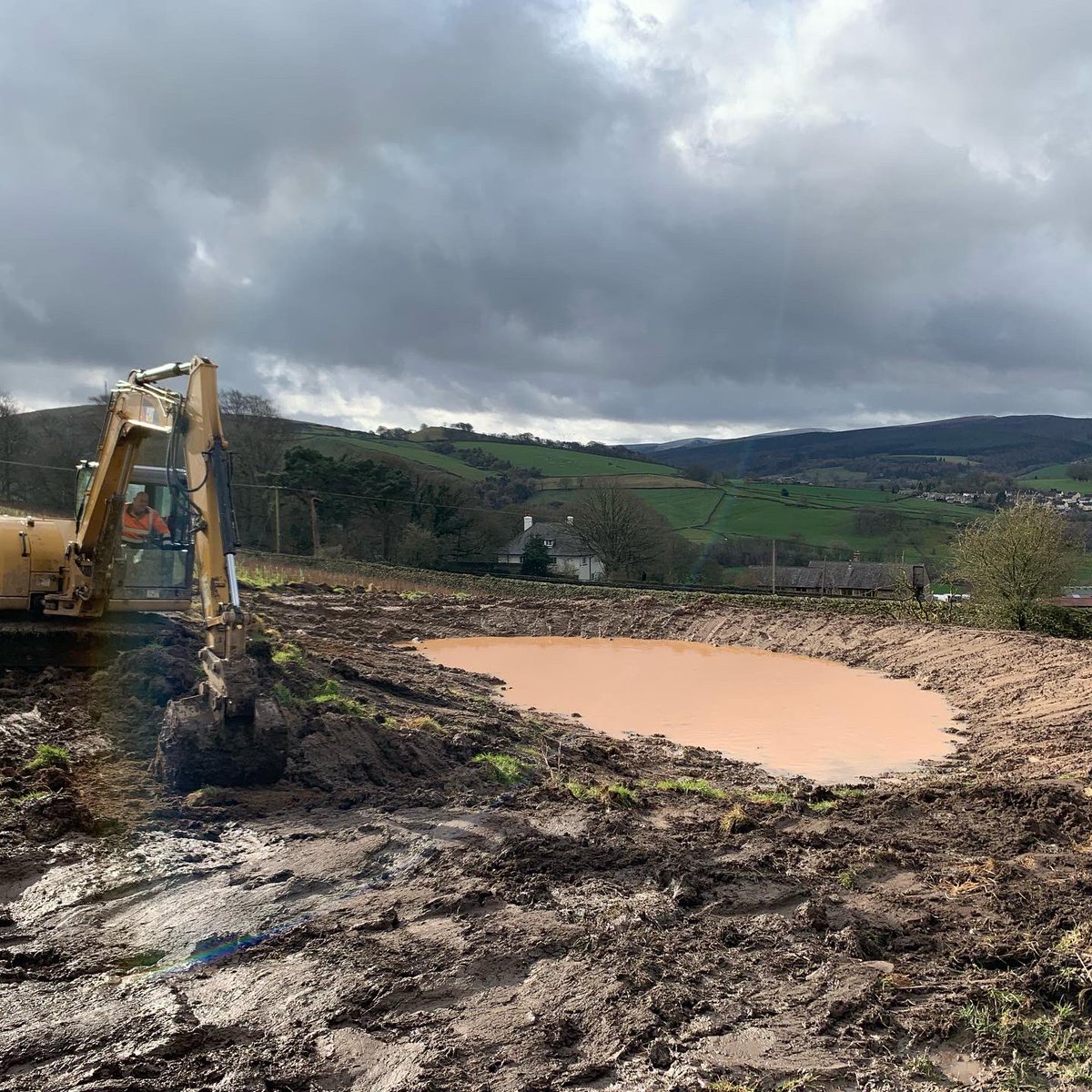 sunartfields tweet media