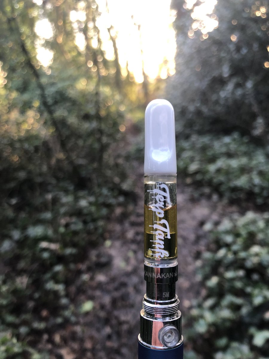 kannakancbd's tweet photo. CBD+TERPENES.
.
.
.
.
.
#cbd #cbdoil #cbdvape #cbdterpenes #cbdisolate #cbgisolate #cbdwax #fullspectrum #cbduk https://t.co/MydjVn03j8
