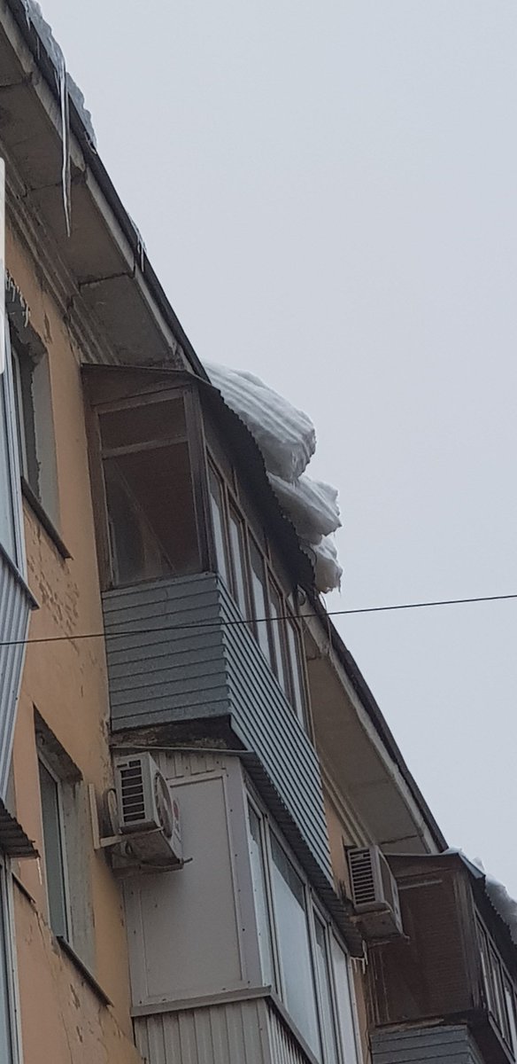 Галина Карпова tweet media