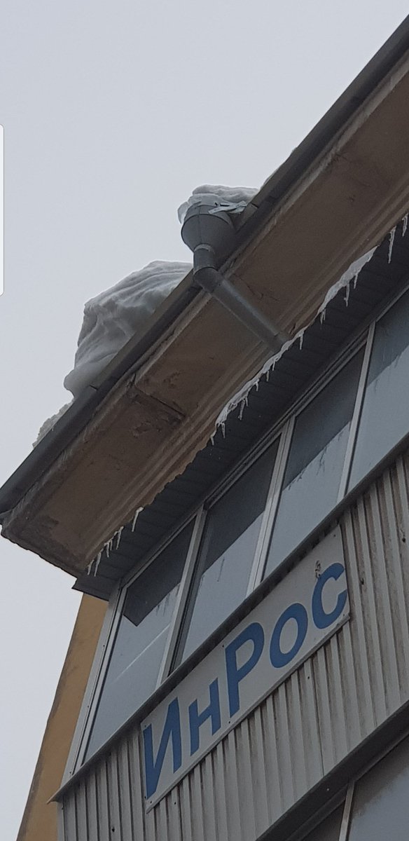 Галина Карпова tweet media