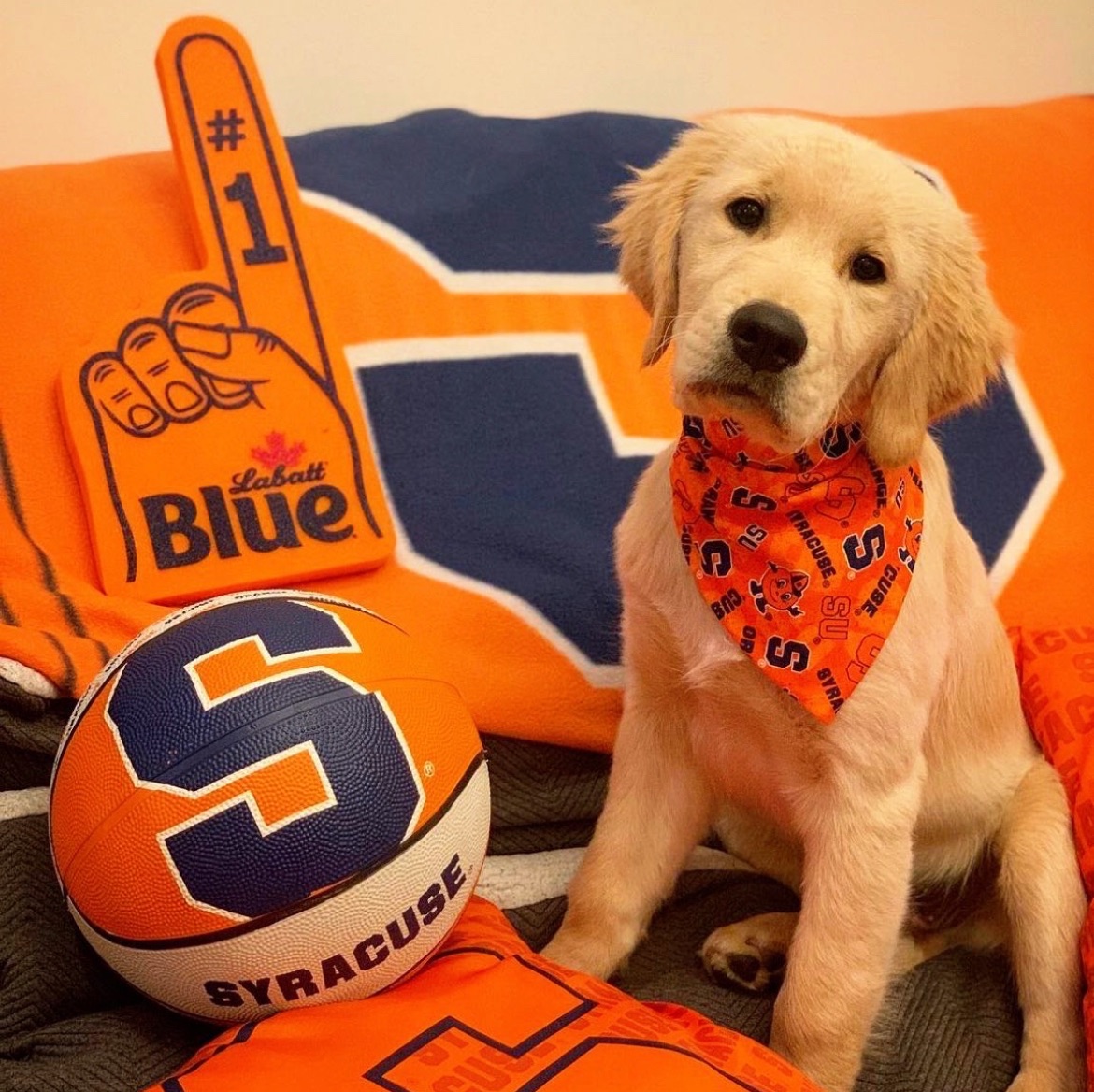 who's ready to rock their orange for gameday this weekend? 🍊