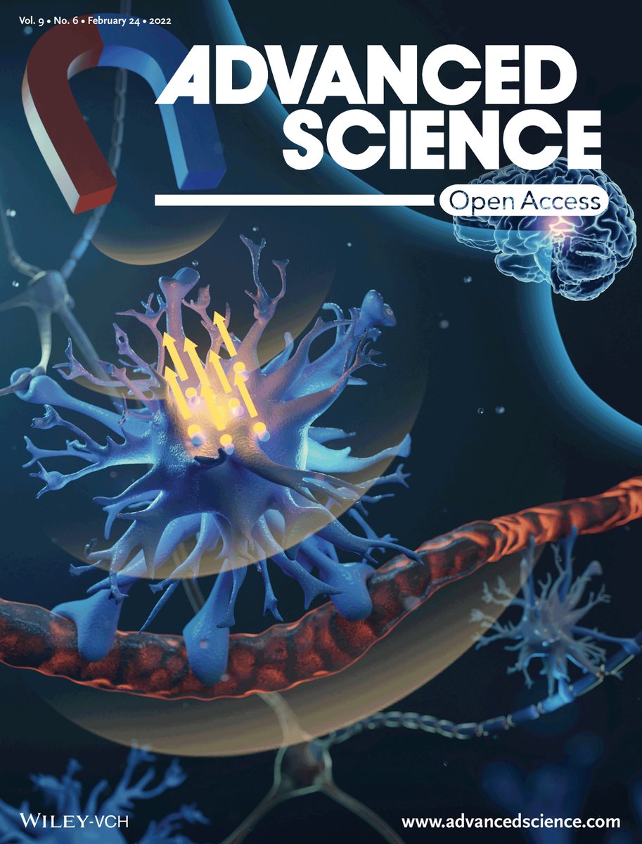 Another great paper published in Advanced Science from @ruidiyu @marklythgoe and the magnetic targeting team @CABI_UCL - with a cover image in today's issue!