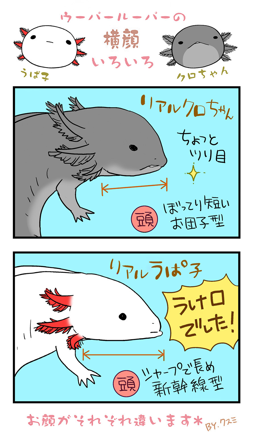 クスミ 楠見らんま 百合とかウーパールーパーとか Nekoyuku Twitter