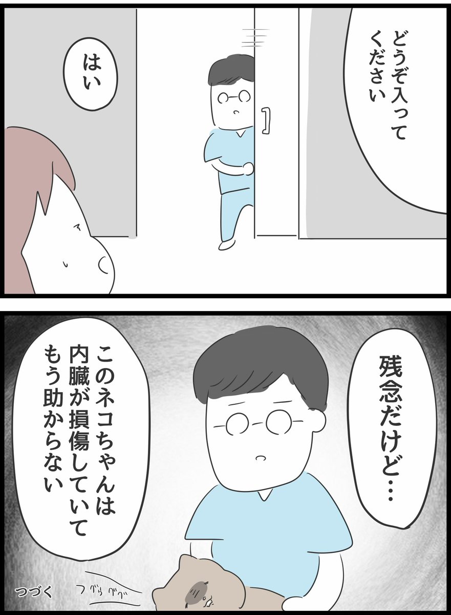 ネコの日になると思い出すこと2
※暗いお話なので気分が落ちている人は読まない方がいいかもです🙇‍♂️すみません💦 