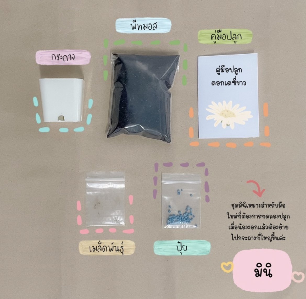 ชุดปลูกดอกไม้ ชุดละ99฿
- เดซี่ขาว🌼
- ทานตะวัน🌻
- กุหลาบ🌹
ได้อุปกรณ์ครบตามนี้เลยน้า✨
(Pre)รอของ 15-20วัน ของมาค่อยจ่าย 
รบกวนสั่งแล้วไม่เทกันน้าา🥺🙏🏼
แจ้งอันที่ต้องการใน DM ได้เยย
#พรีออเดอร์เกาหลี #แจกัน #กระจก #โคมไฟ #สินค้าเกาหลี #ของน่ารัก
