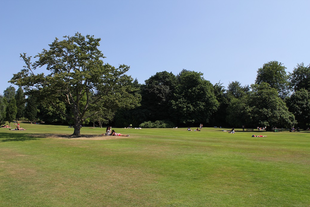 CityCorpHeath's tweet photo. Would you like to join the Heath Team this spring and summer? We're looking for seasonal staff to work in Golders Hill Park carrying out various duties such as opening and locking up, helping visitors and litter picking. Email hampstead.heath@cityoflondon.gov.uk for further info https://t.co/LbBa8uurmh