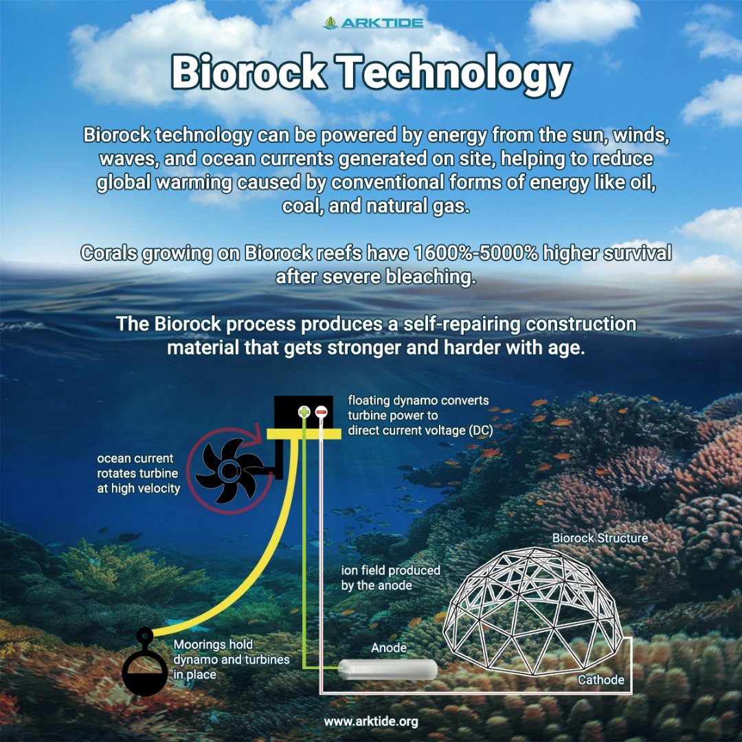 Arktide1's tweet photo. So, how can we save the ocean? 🤔
Read about coral reefs, biorock, and its benefits here: https://t.co/Gd8ww8KCpM
Photo by Biorock Indonesia on Unsplash
#biorock #oceanrestoration #coralreefs https://t.co/OKHHYqIW02