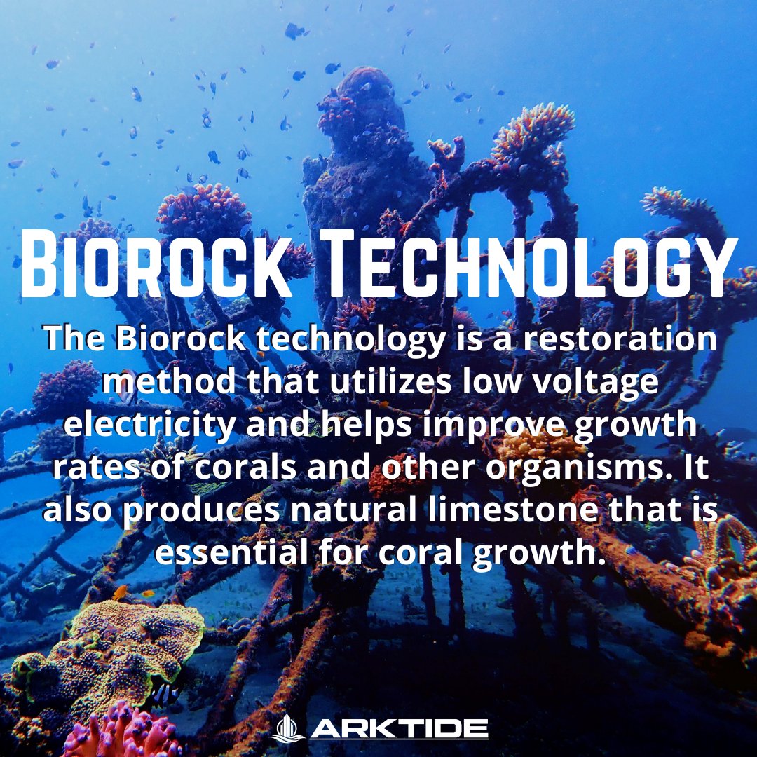 Arktide1's tweet photo. So, how can we save the ocean? 🤔
Read about coral reefs, biorock, and its benefits here: https://t.co/Gd8ww8KCpM
Photo by Biorock Indonesia on Unsplash
#biorock #oceanrestoration #coralreefs https://t.co/OKHHYqIW02