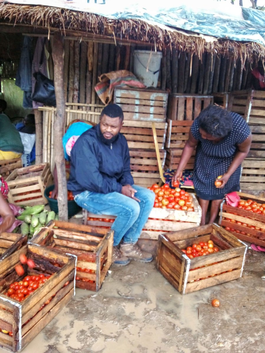 Mr tomate 🍅 tweet media