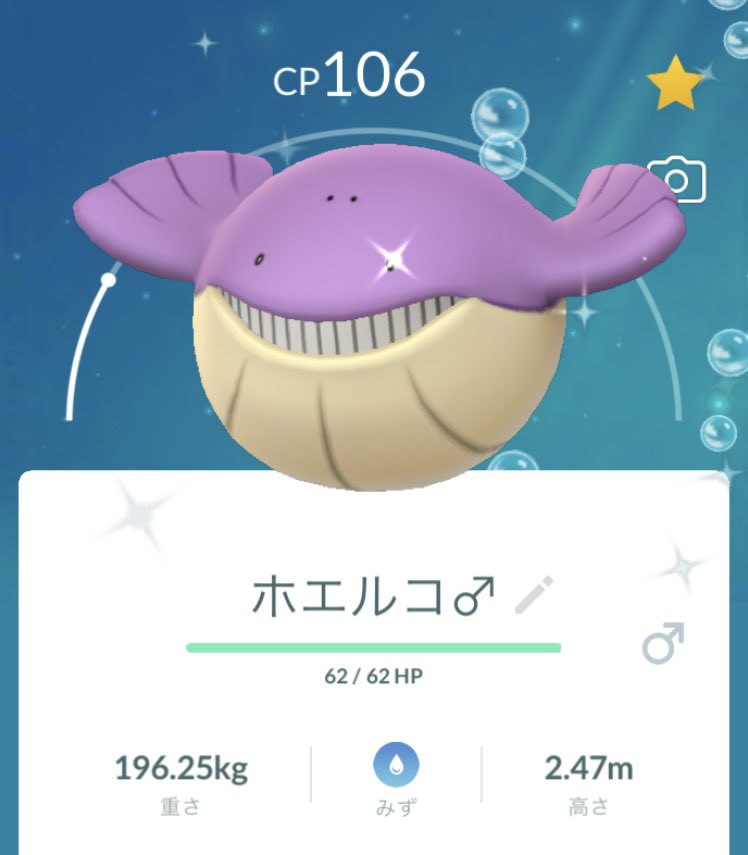 色違いホエルオー Twitter Search Twitter