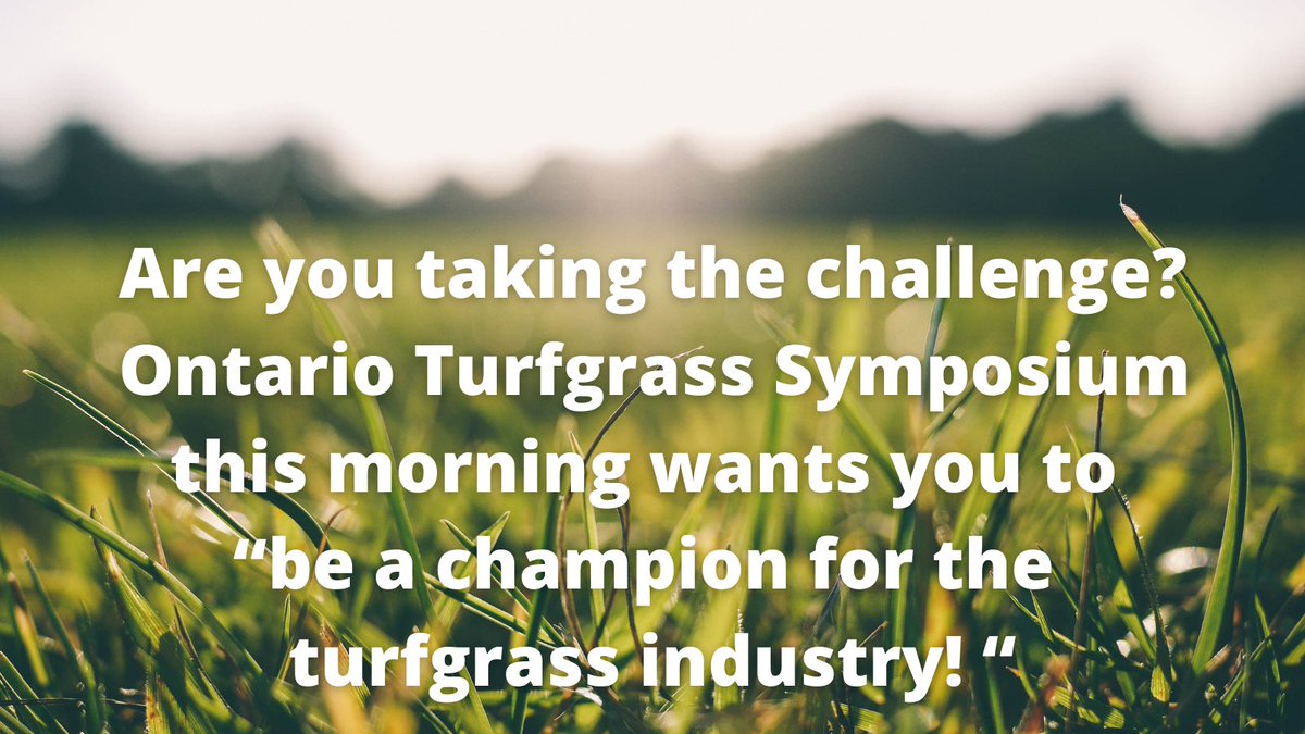 Sports Turf Canada tweet media
